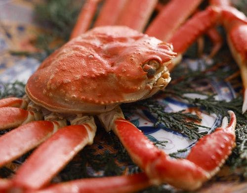 甘みたっぷりのボイルガニ／例