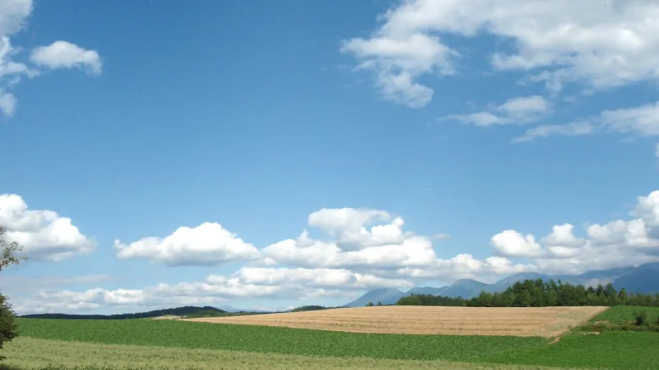 Pension Landscape Furano