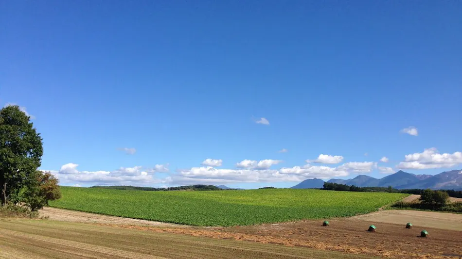 Pension Landscape Furano