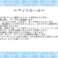 Aturan Hewan Peliharaan