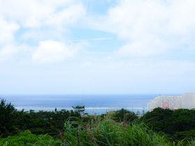 はなれＡＯＺＯＲＡ