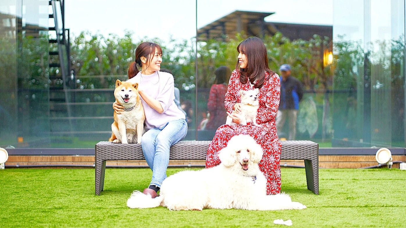 Livemax Resort Izu-Kogen Terrace & Spa