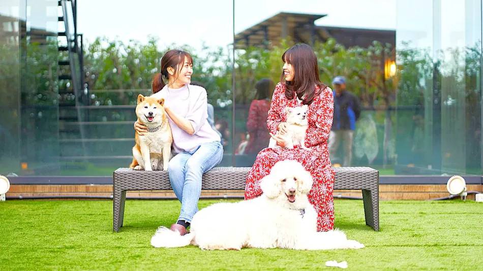 Livemax Resort Izu-Kogen Terrace & Spa