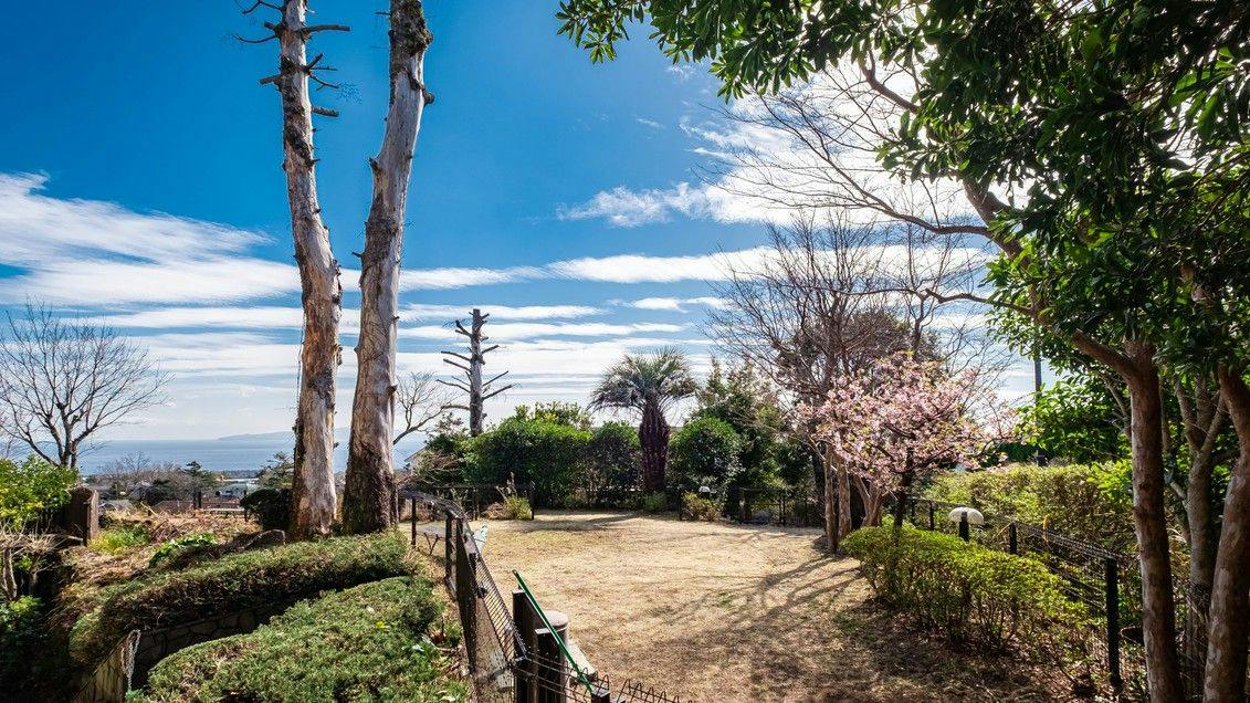 Livemax Resort Izu-Kogen Terrace & Spa