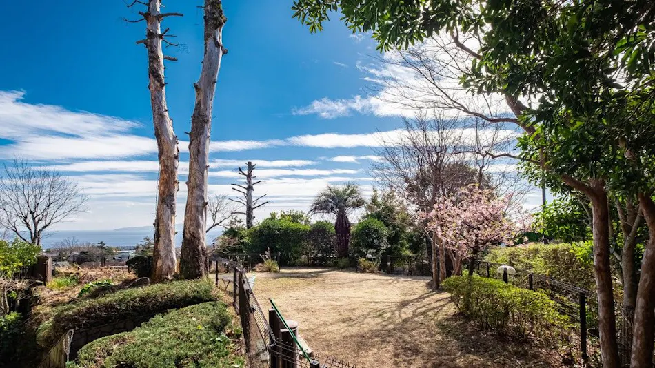 Livemax Resort Izu-Kogen Terrace & Spa
