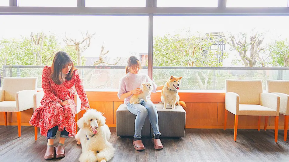 Livemax Resort Izu-Kogen Terrace & Spa
