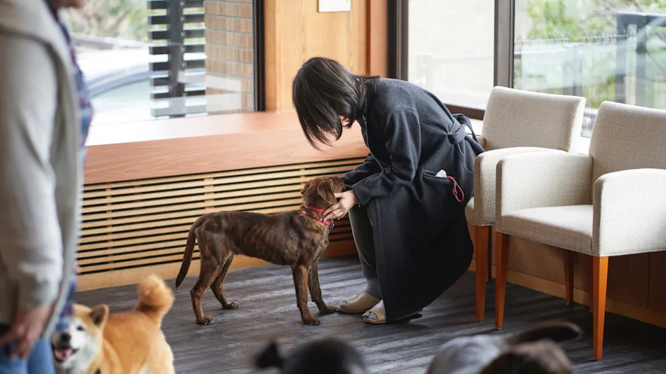 Livemax Resort Izu-Kogen Terrace & Spa