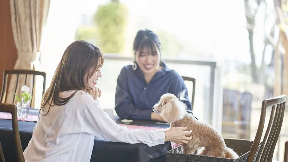 Livemax Resort Izu-Kogen Terrace & Spa