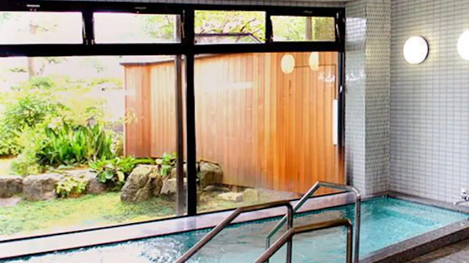 Business Ryokan Fujinoya