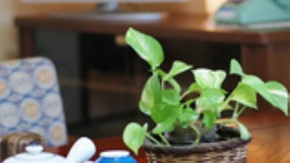 Shimanami Kaido Ryokan Fujimien