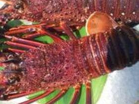 しまなみ海道　料理旅館　富士見園