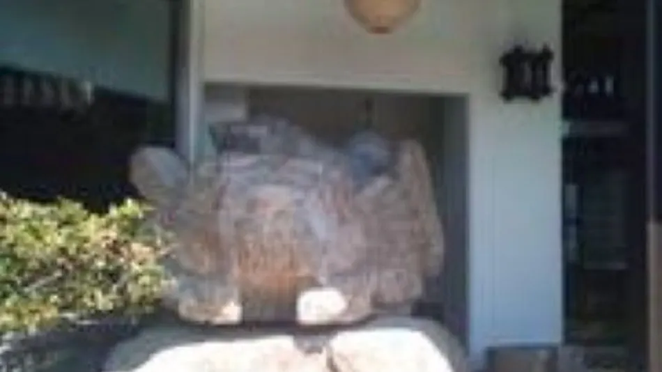 Shimanami Kaido Ryokan Fujimien