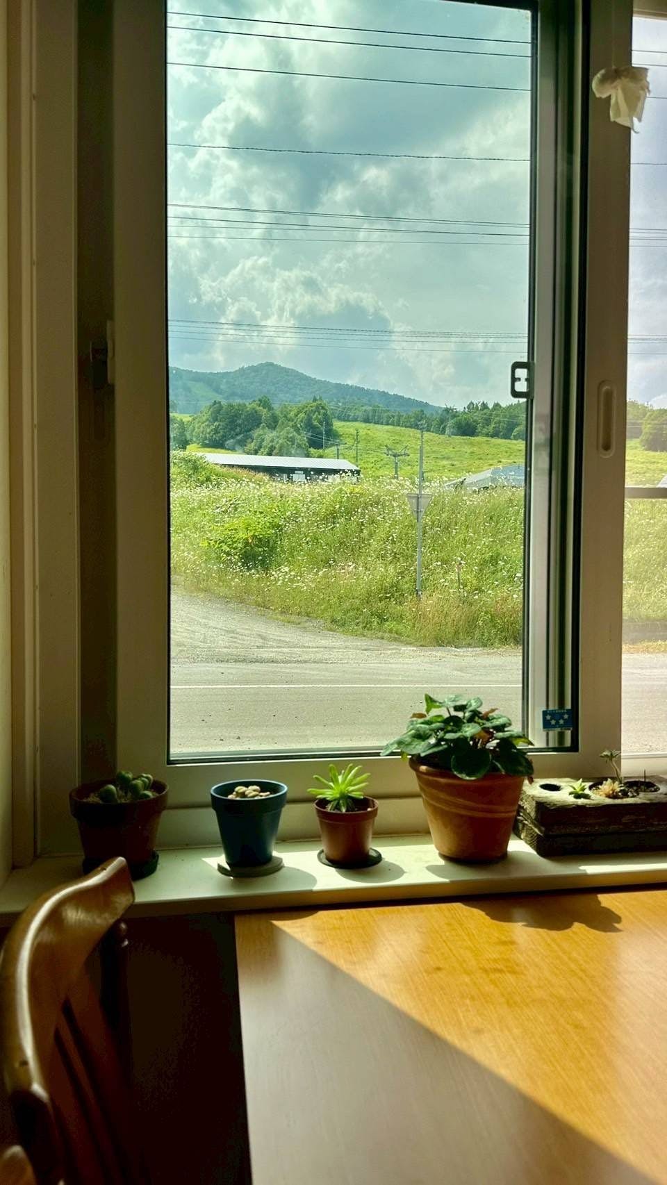 เมื่อมองออกไปจากครัวส่วนกลาง