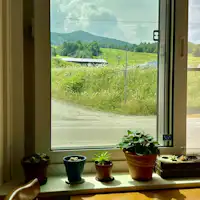 เมื่อมองออกไปจากครัวส่วนกลาง