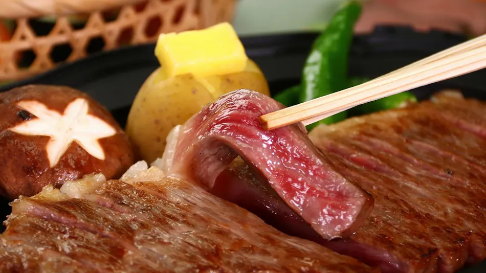 One Group Per Day Exclusive - Ryokan Restaurant Toshiyoshiya