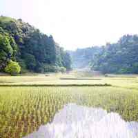ทิวทัศน์