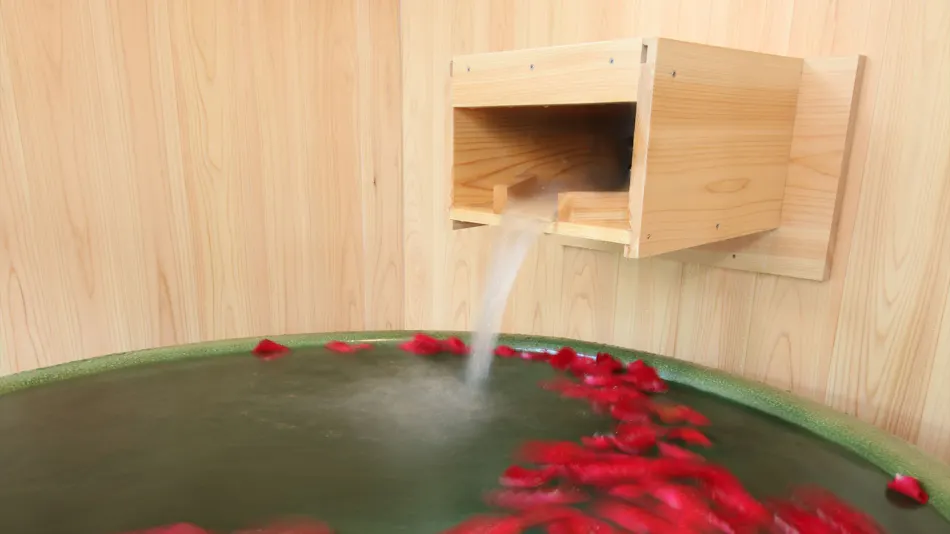 Hida Takayama Ryokan Ichinomatsu