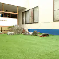 ลานวิ่งเล่นสำหรับสุนัข◆ปรับปรุงใหม่ในสวนกลาง