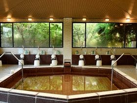 鶴舞ムーンレイクホテル