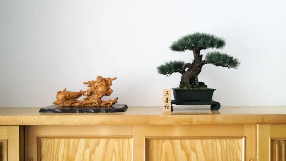 Tengu Tabine・Cotengu Tabine