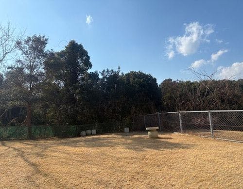 【ドッグラン】