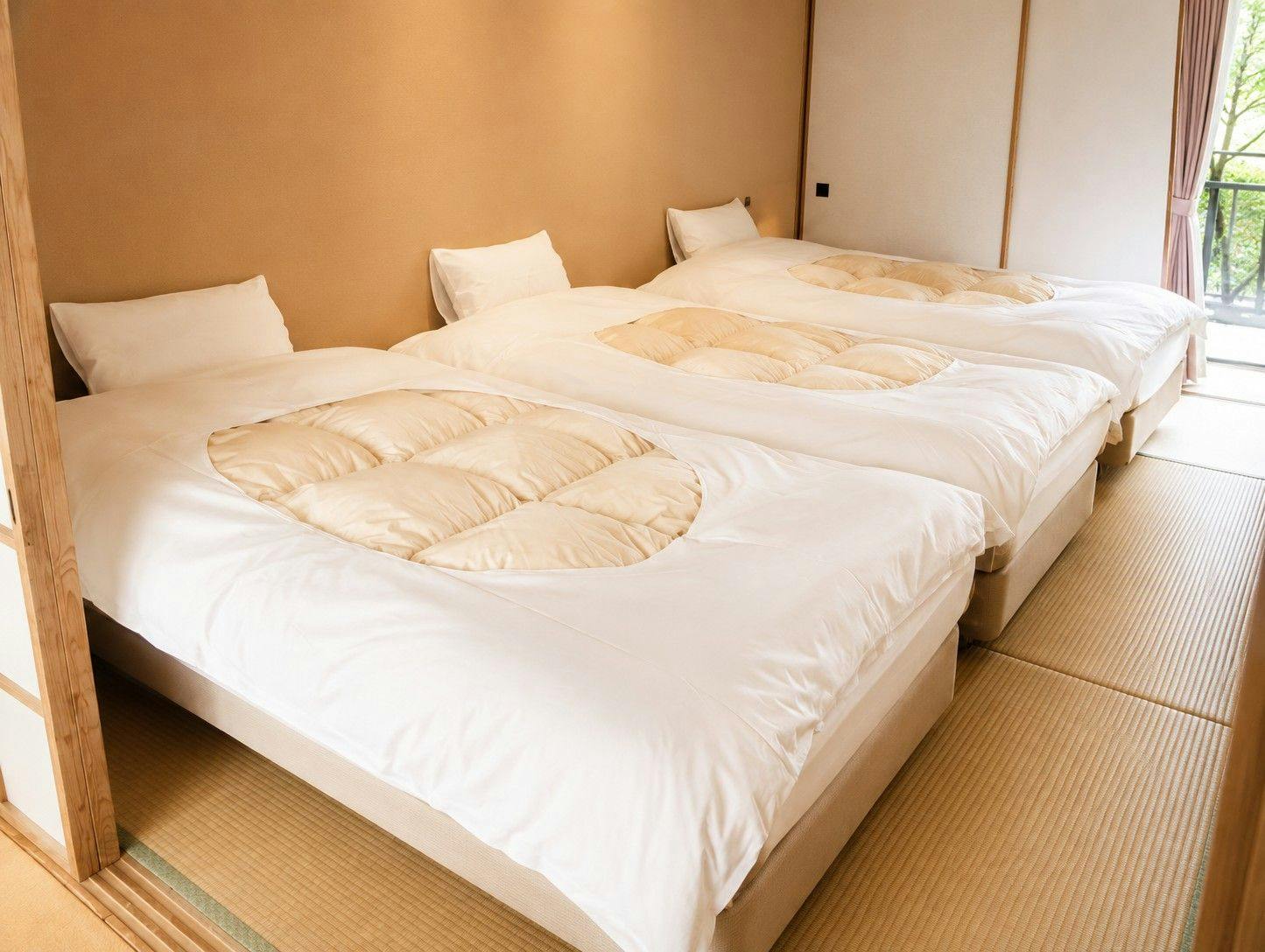 Minami Hakone Villa
