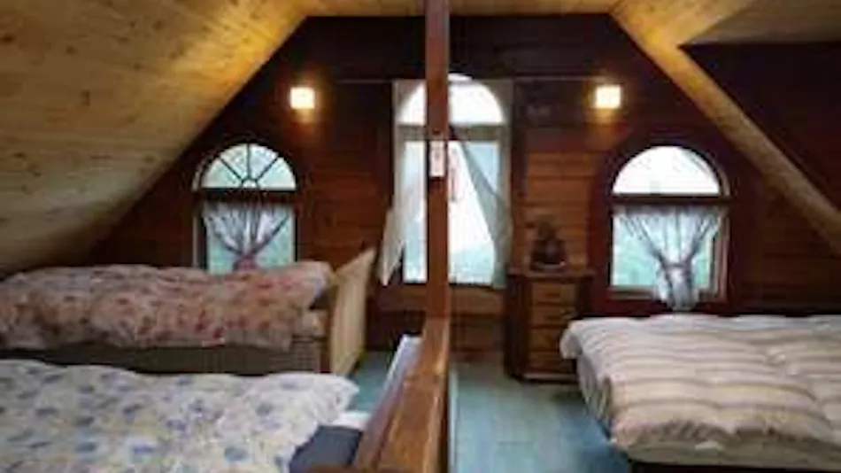 Log Ashita