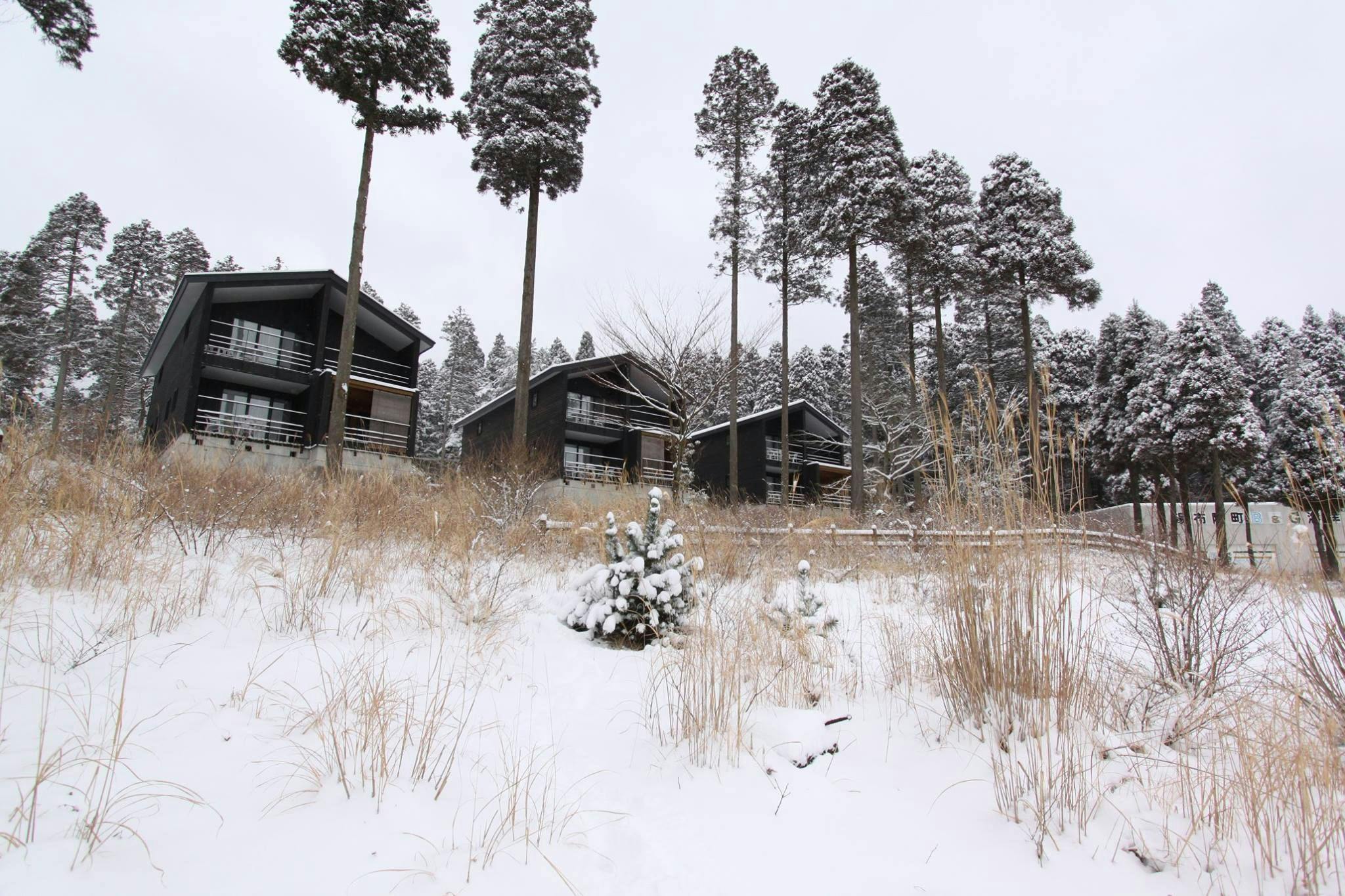 Yufuin Yamashita Lake Lodge