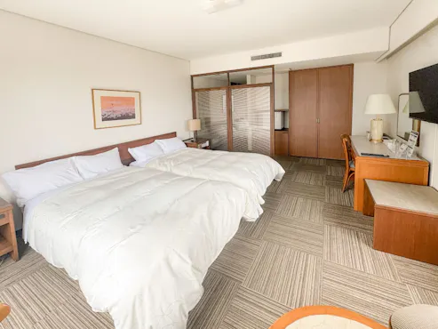 ดีลักซ์ทวิน 1