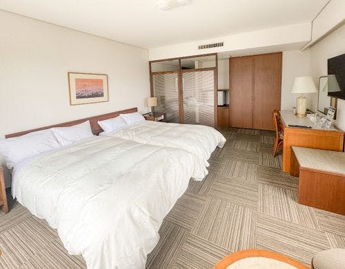 デラックスツイン1