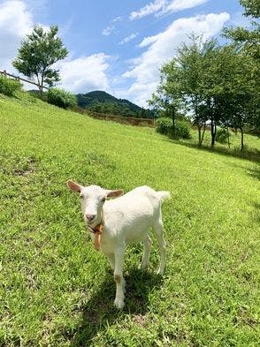 염소