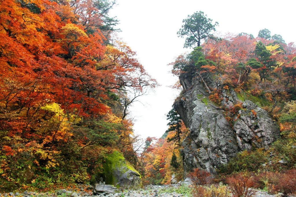 Shukubo Kansho-in Temple SANRAKUSO