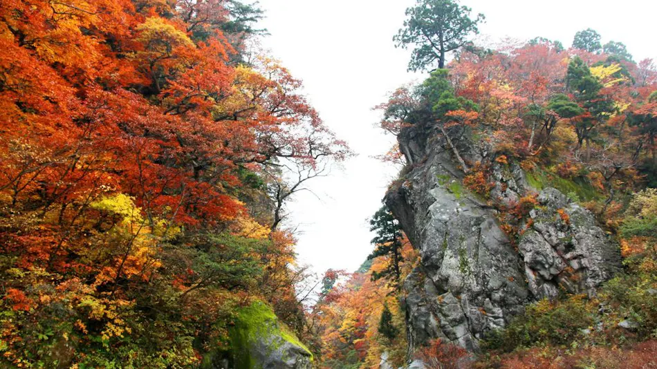 Shukubo Kansho-in Temple SANRAKUSO