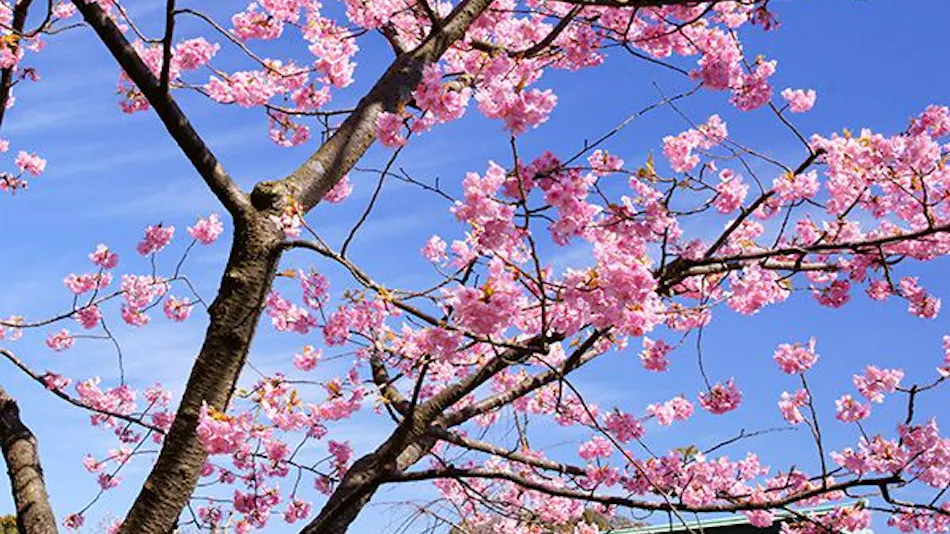 KKR Kamakura Wakamiya (Kamakura Resort for National Public Service Personnel Mutual Aid Association)