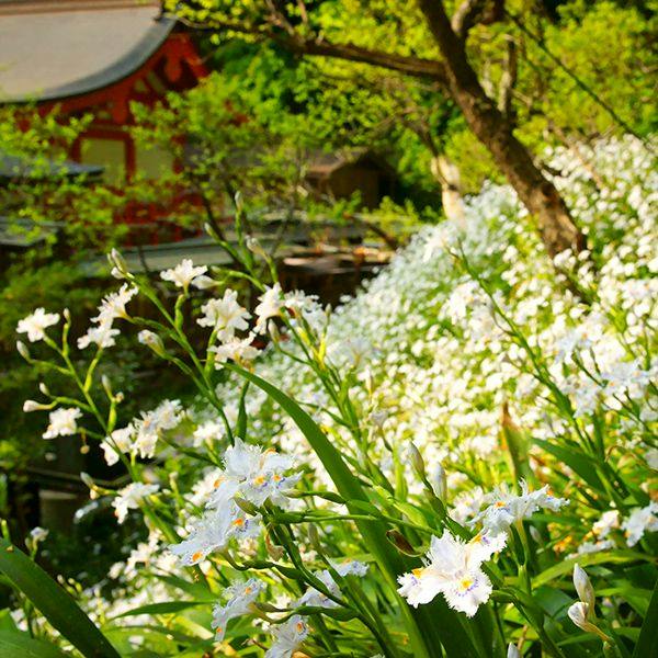 KKR Kamakura Wakamiya (Kamakura Resort for National Public Service Personnel Mutual Aid Association)