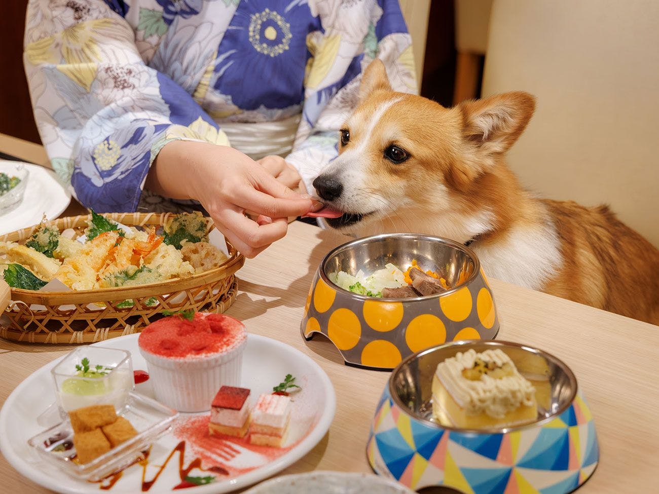 施設画像