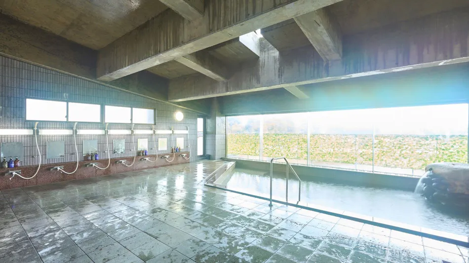Senganishi Onsen Yumoto Azumakan