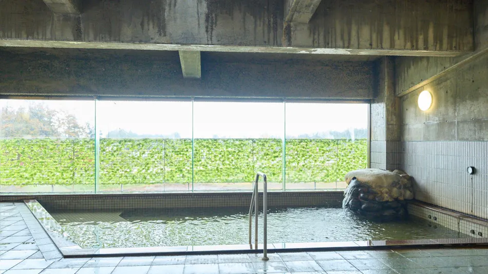 Senganishi Onsen Yumoto Azumakan