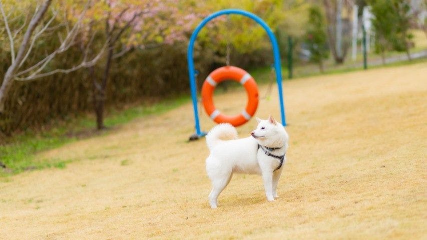 Hotel Villa Katsuyama  Avail
