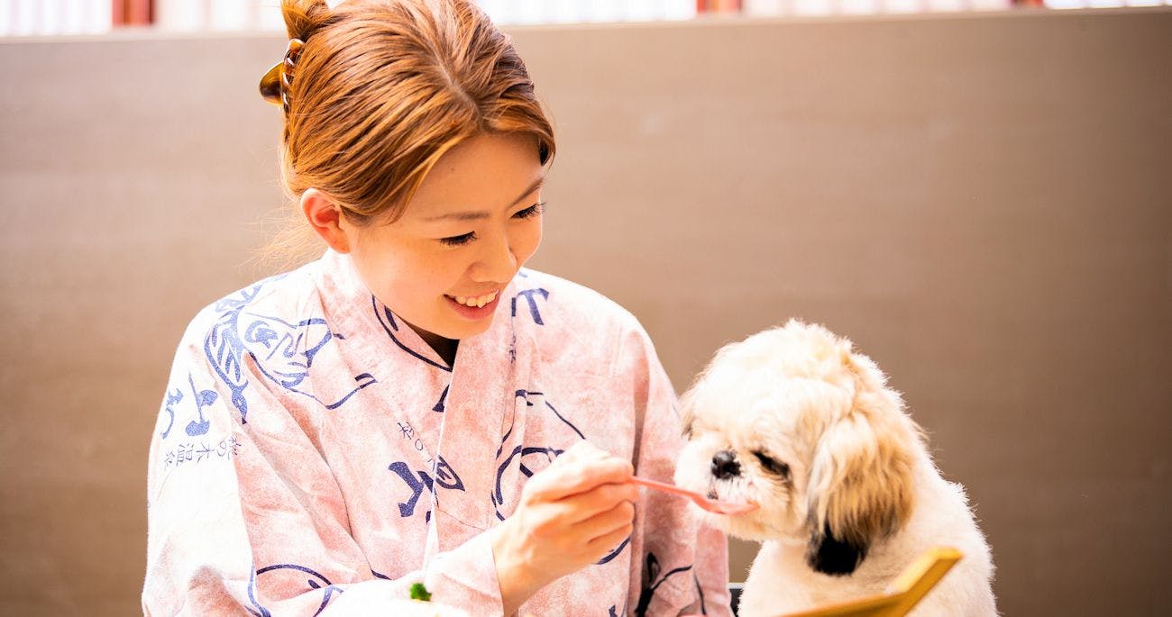 A Relaxing Onsen Accommodation with Your Beloved Dog - Momo no Ki Onsen Sanwaso