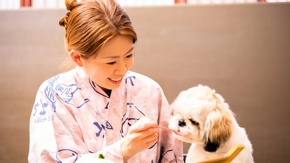 A Relaxing Onsen Accommodation with Your Beloved Dog - Momo no Ki Onsen Sanwaso