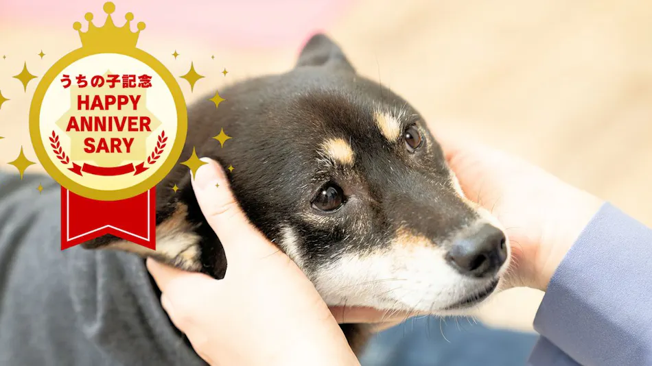 A Relaxing Onsen Accommodation with Your Beloved Dog - Momo no Ki Onsen Sanwaso