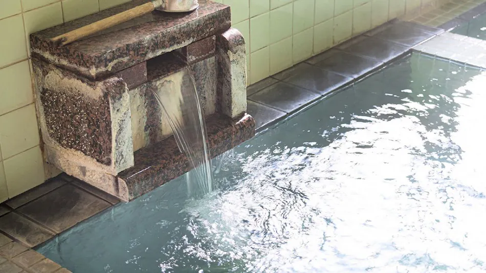 A Relaxing Onsen Accommodation with Your Beloved Dog - Momo no Ki Onsen Sanwaso