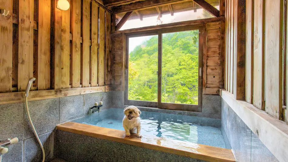 A Relaxing Onsen Accommodation with Your Beloved Dog - Momo no Ki Onsen Sanwaso