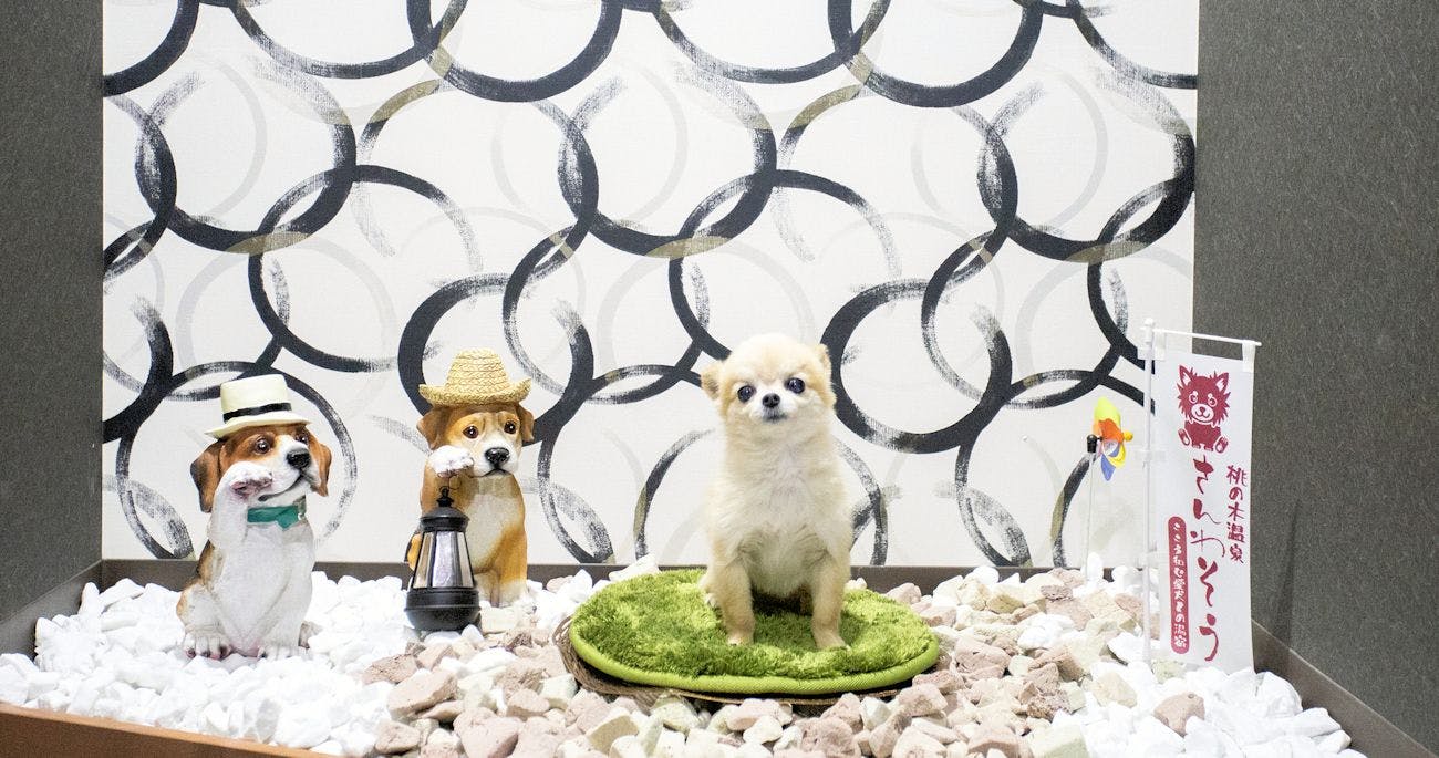 A Relaxing Onsen Accommodation with Your Beloved Dog - Momo no Ki Onsen Sanwaso