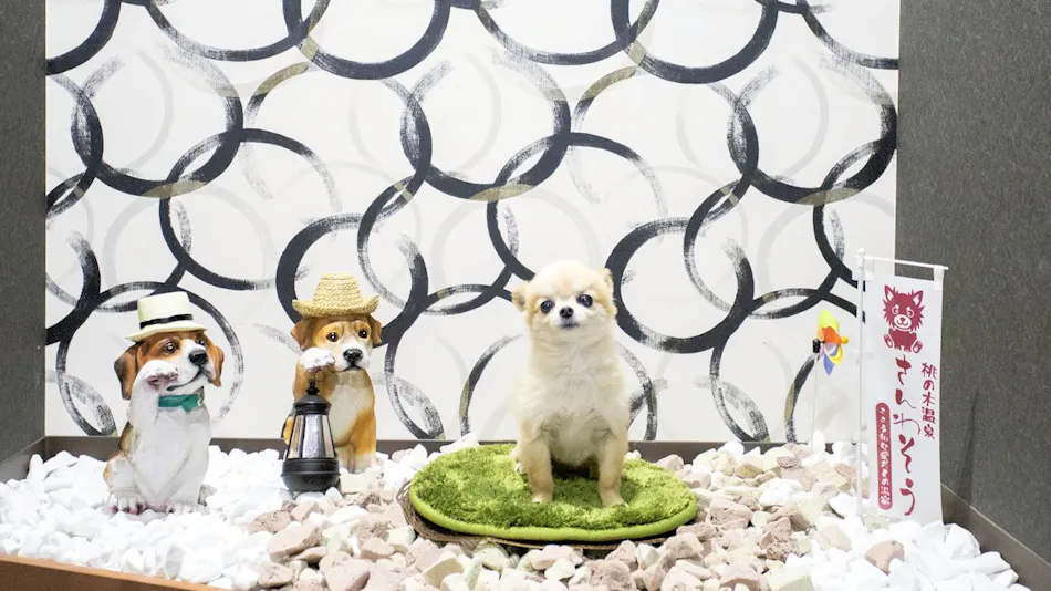 A Relaxing Onsen Accommodation with Your Beloved Dog - Momo no Ki Onsen Sanwaso