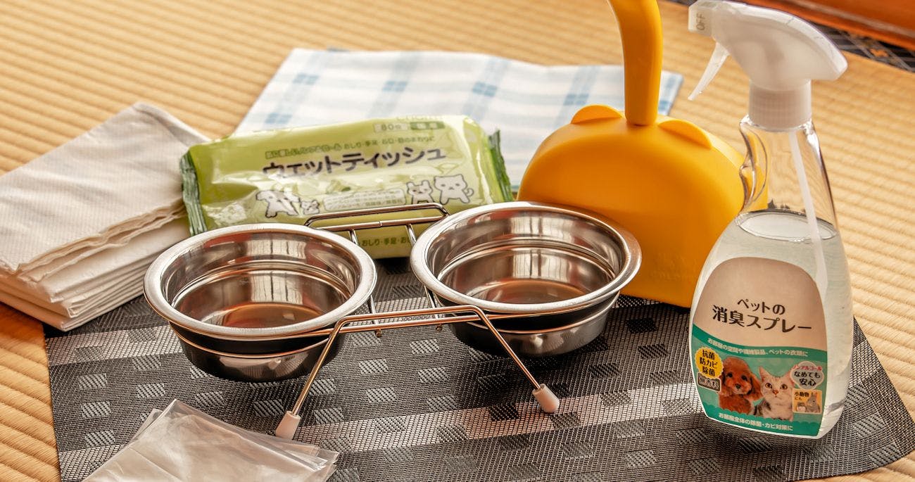 A Relaxing Onsen Accommodation with Your Beloved Dog - Momo no Ki Onsen Sanwaso