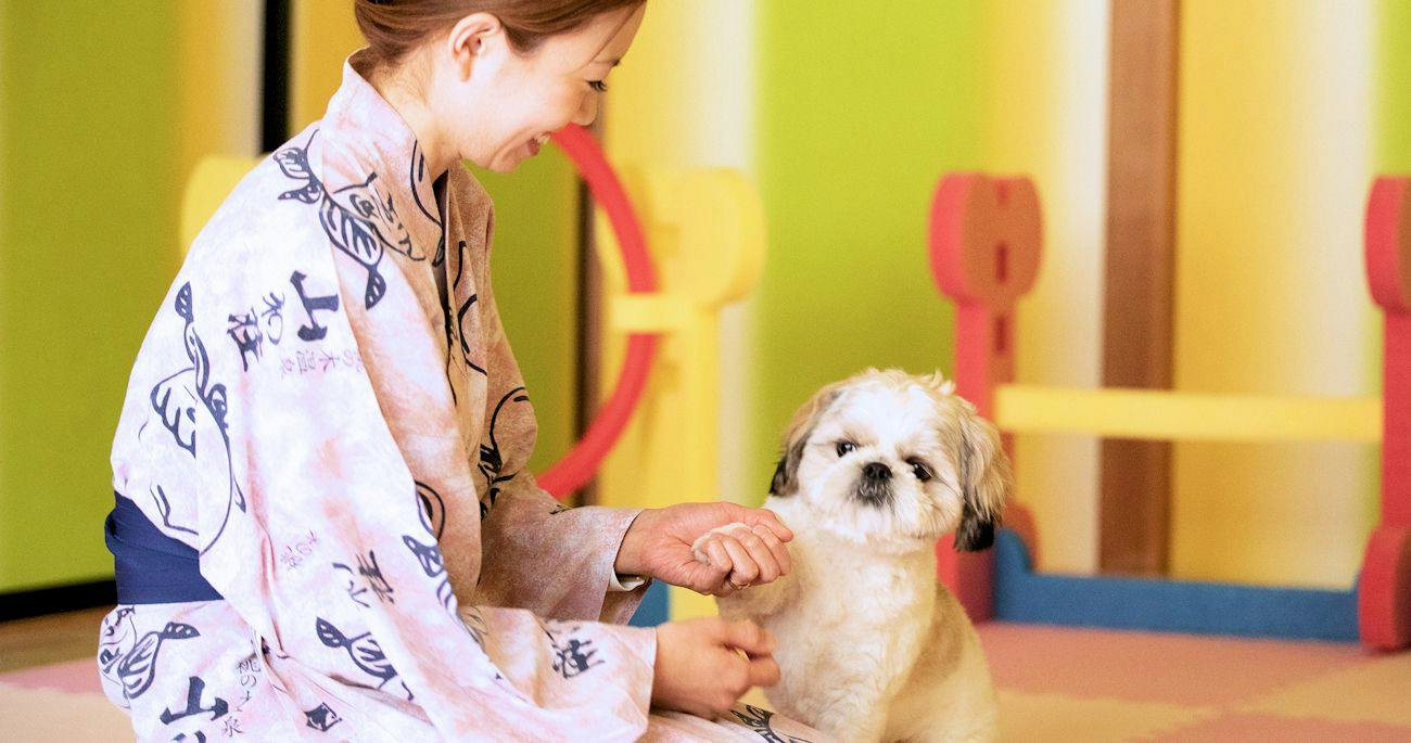 A Relaxing Onsen Accommodation with Your Beloved Dog - Momo no Ki Onsen Sanwaso