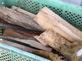 里山グランピングむすび