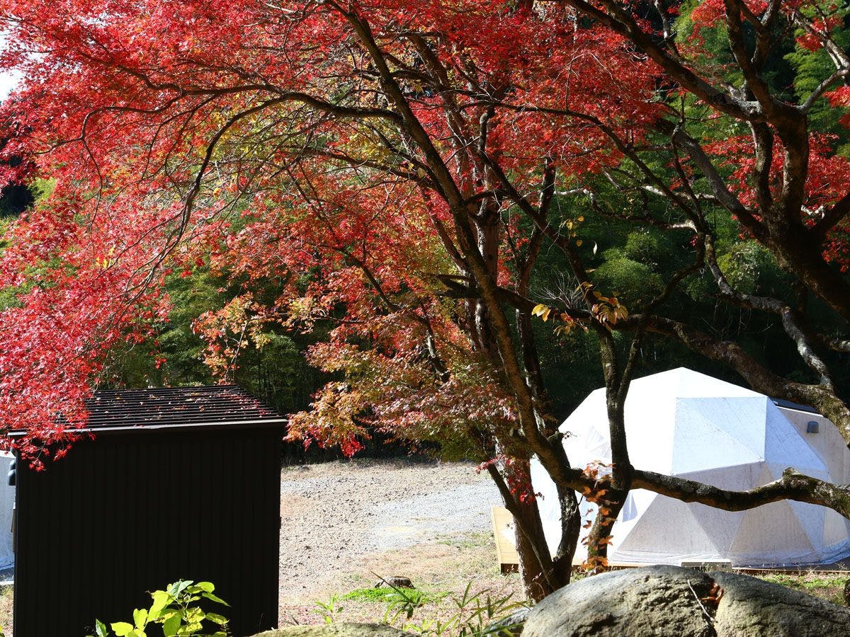 Satoyama Glamping Musubi